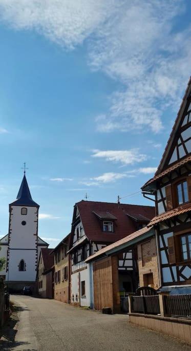 شقة Alsace Bas-Rhin Logis Independant Avec Piscine Privee Alteckendorf المظهر الخارجي الصورة